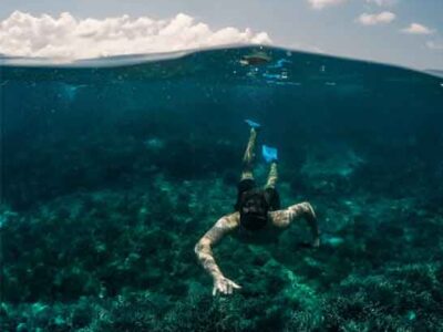 Snorkeling