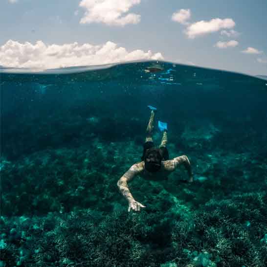 Snorkeling